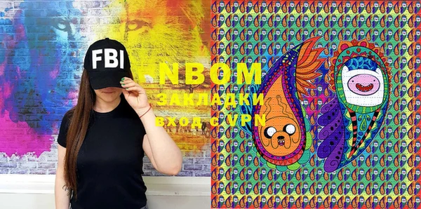 индика Верея